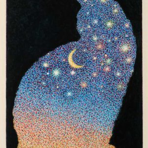 Starry-Night-With-Fiesta-2004-Felt-Tip-On-Paper